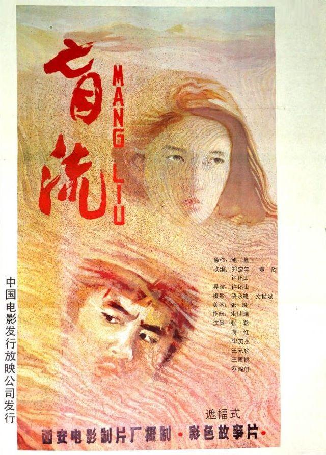盲流海报
