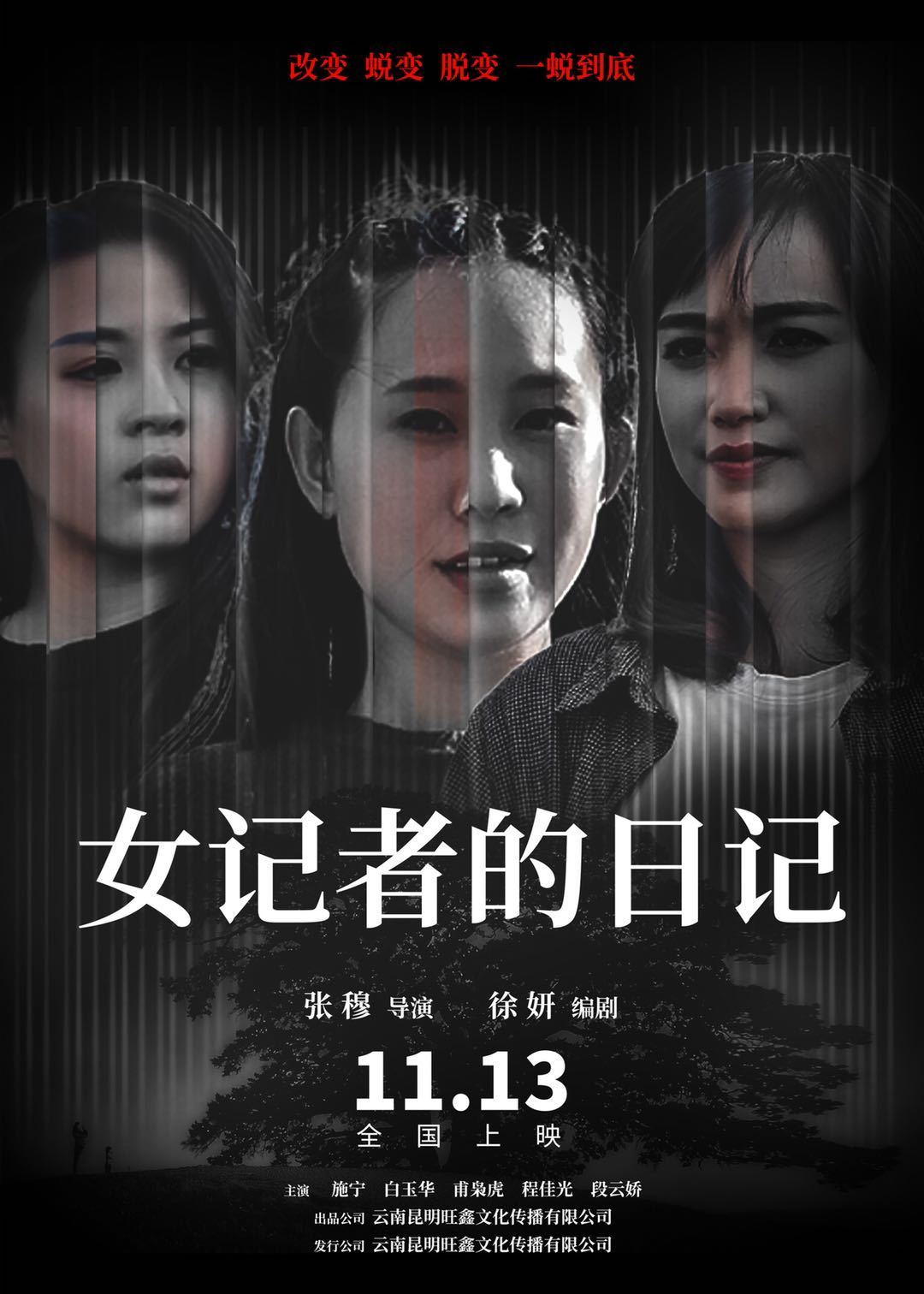 女记者的日记海报