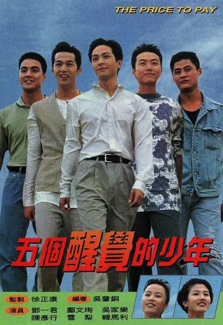 五个醒觉的少年国语海报