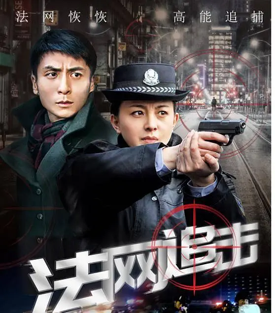 法网追击海报