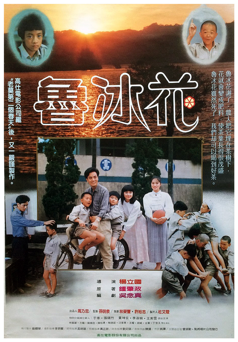 鲁冰花海报