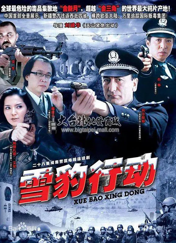 雪豹行动海报