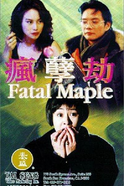 疯孽劫海报
