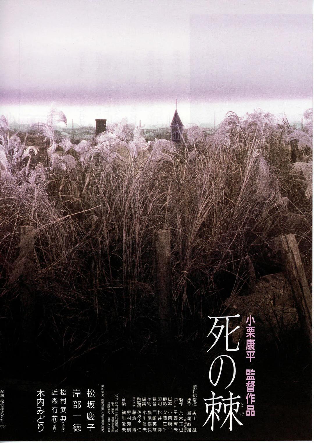 死之棘海报
