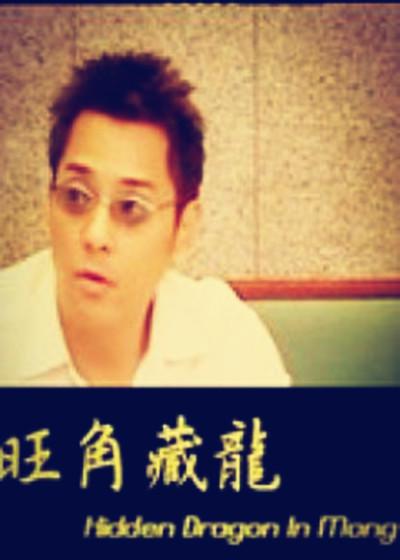 旺角藏龙海报