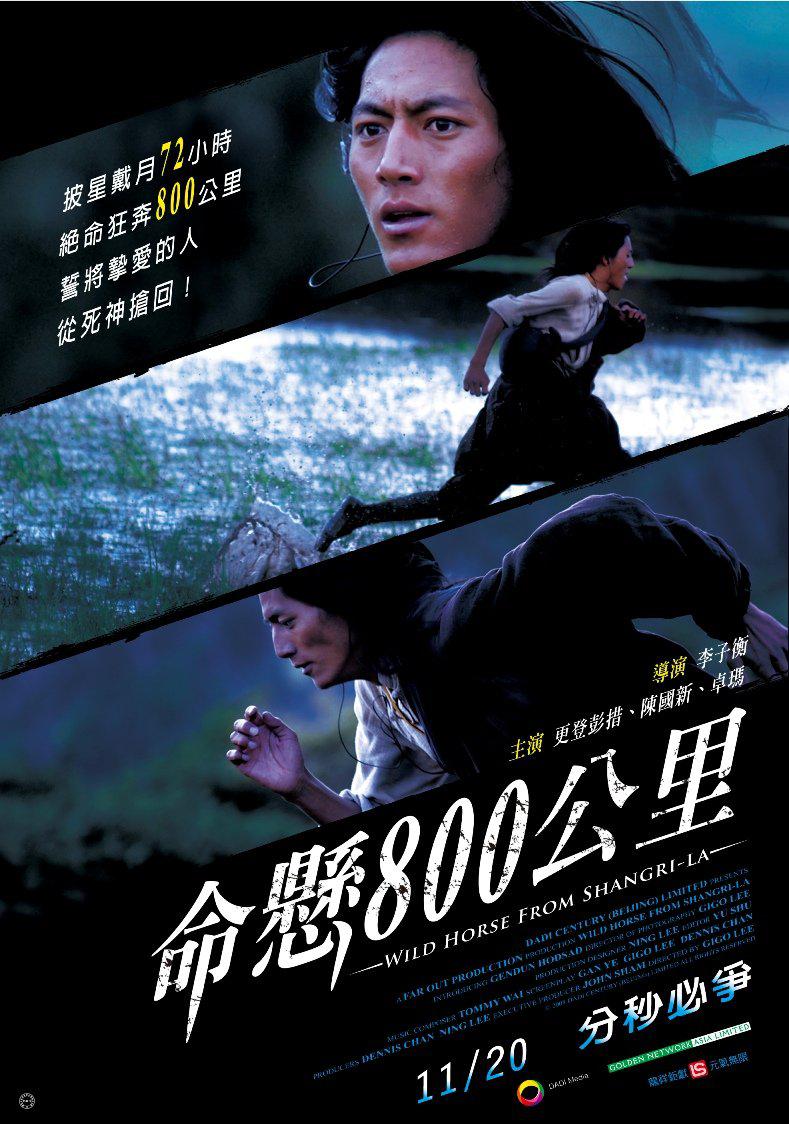 命悬800公里海报