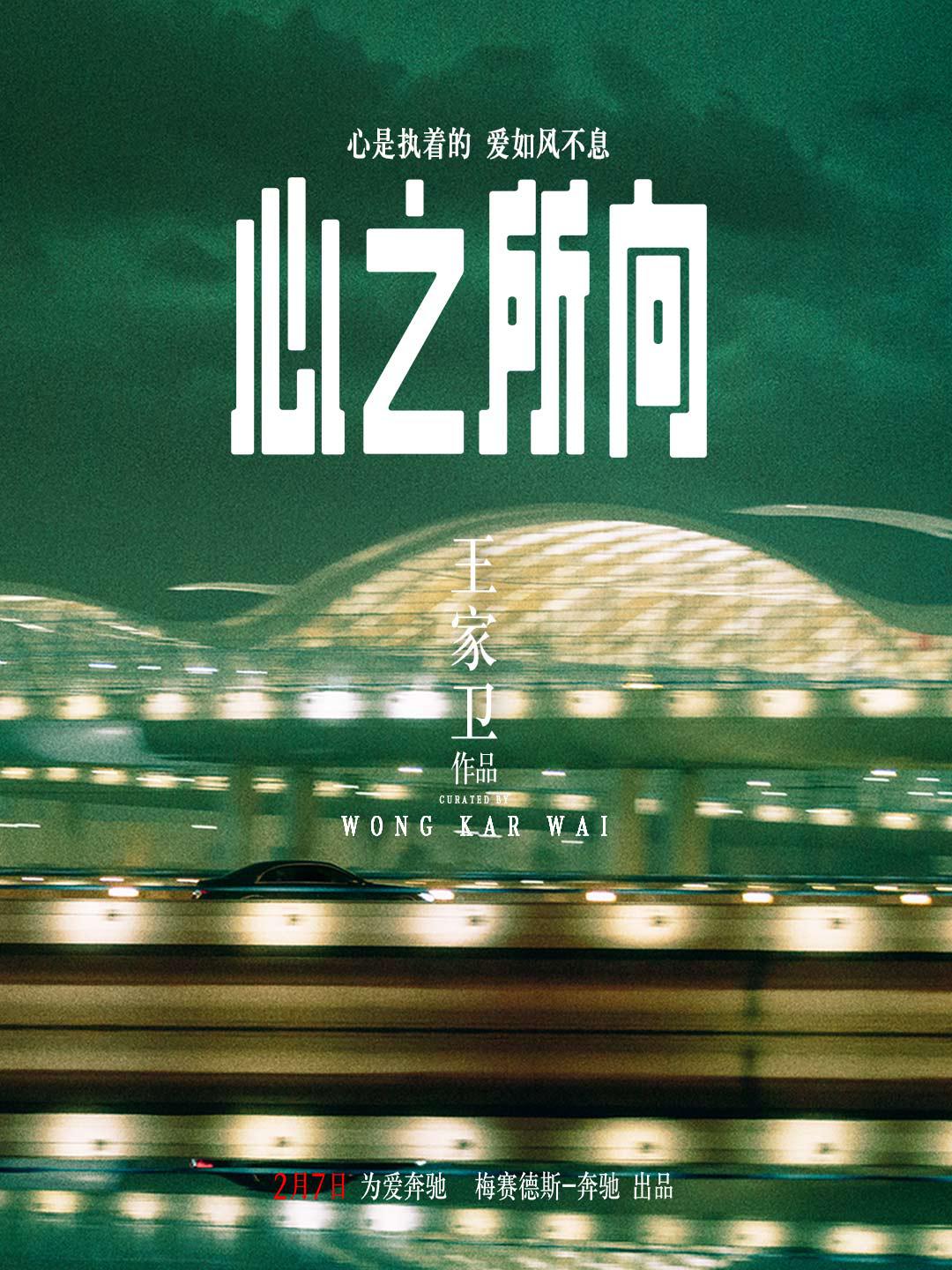 心之所向海报