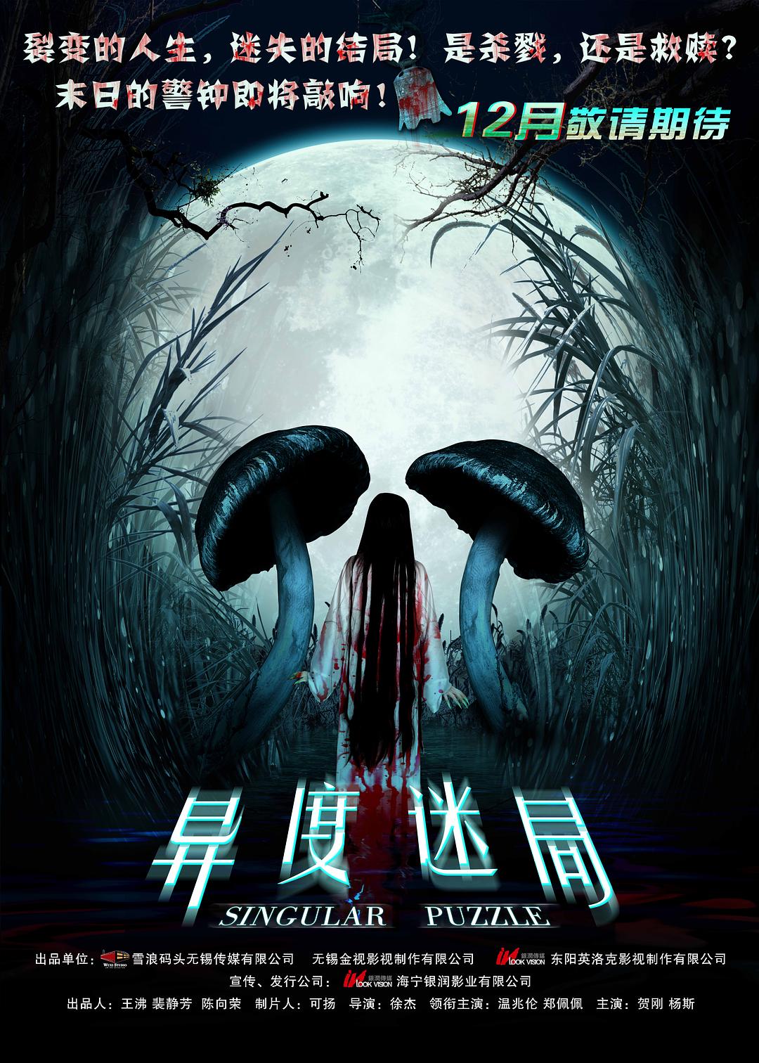 异度迷局海报