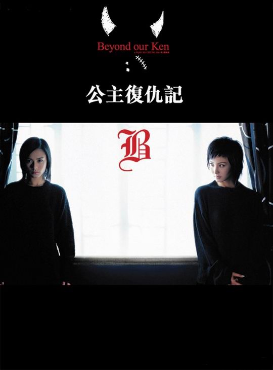 公主复仇记海报