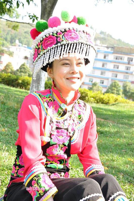 茶花彝女海报