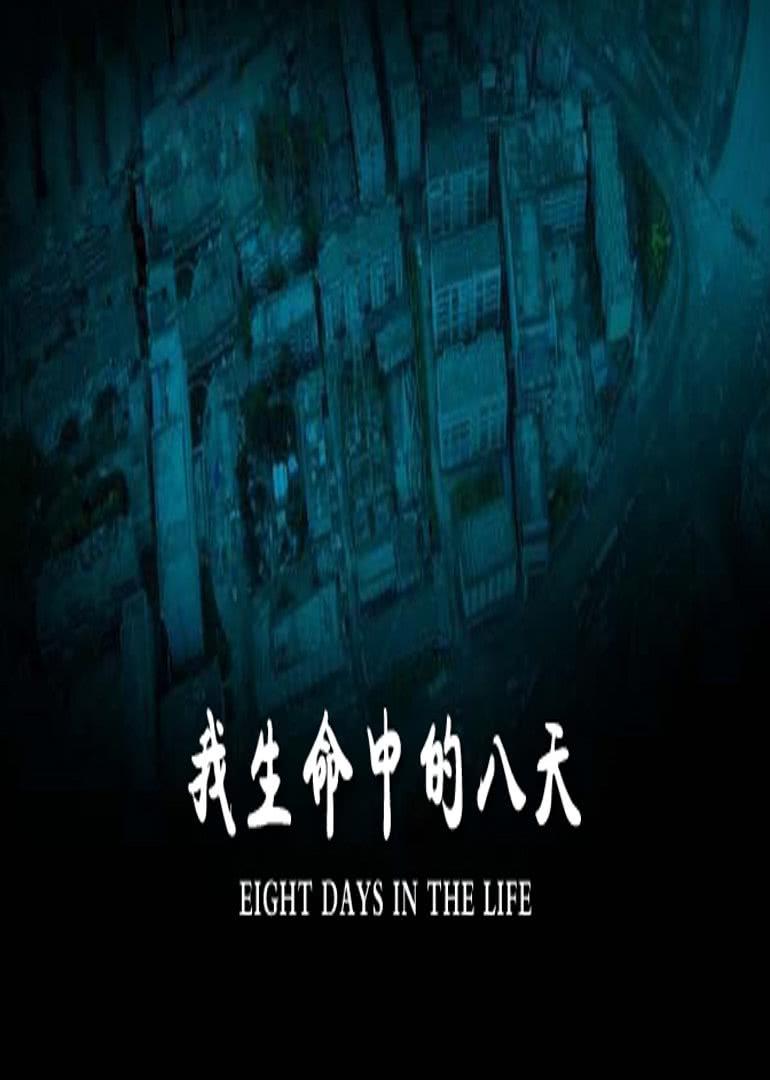 我生命中的八天海报