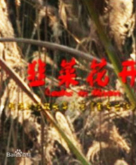 韭菜花开海报