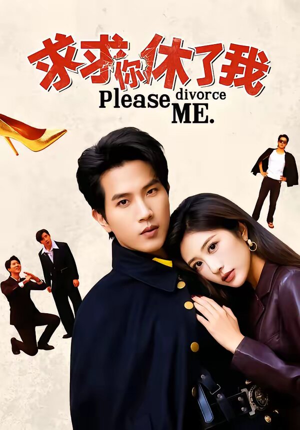 求求你休了我海报