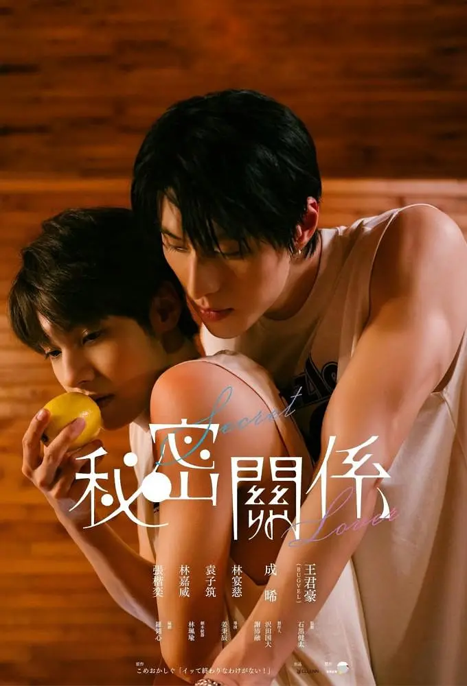 秘密关系电影版封面图