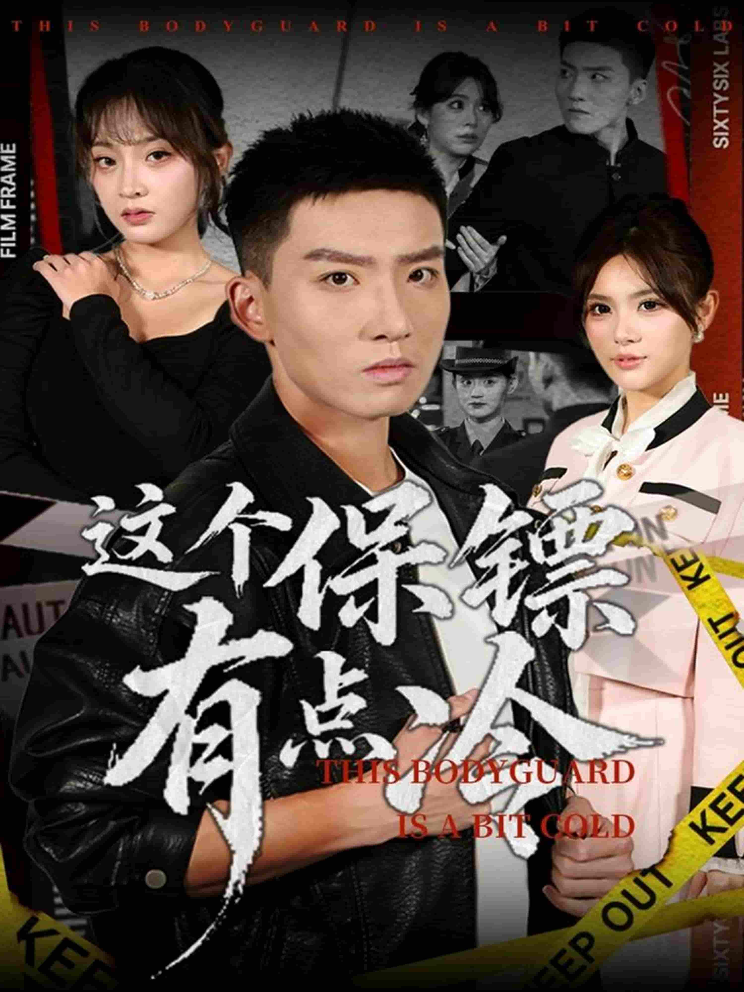 这个保镖有点冷海报