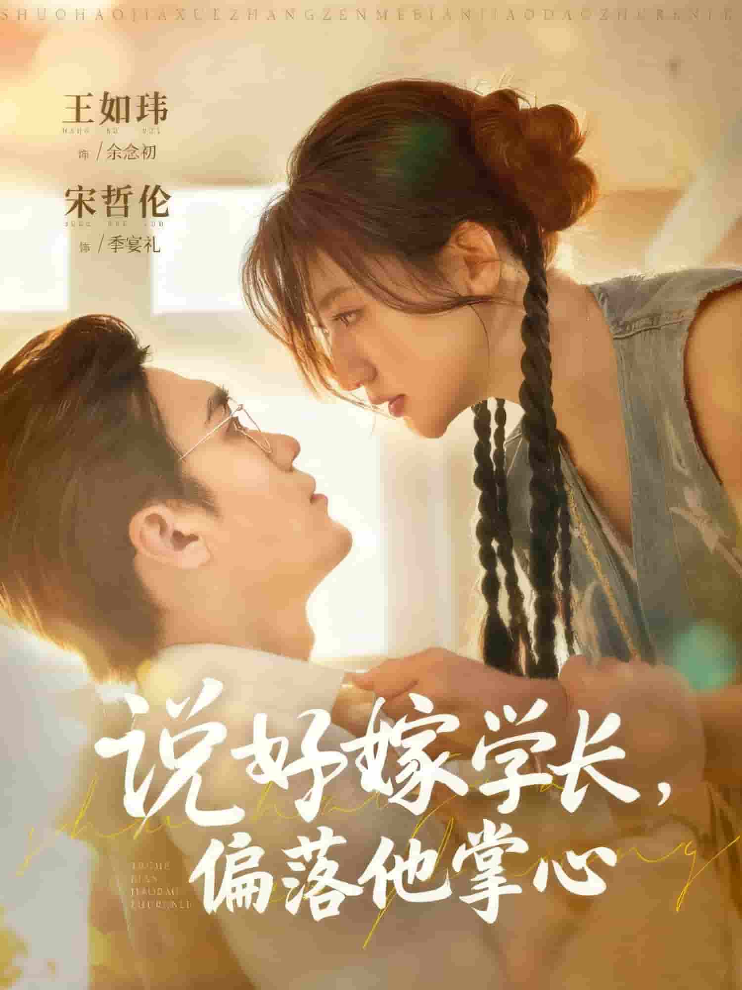 说好嫁学长，偏落他掌心海报