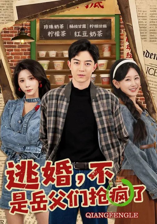 逃婚，不，是岳父们抢疯了海报