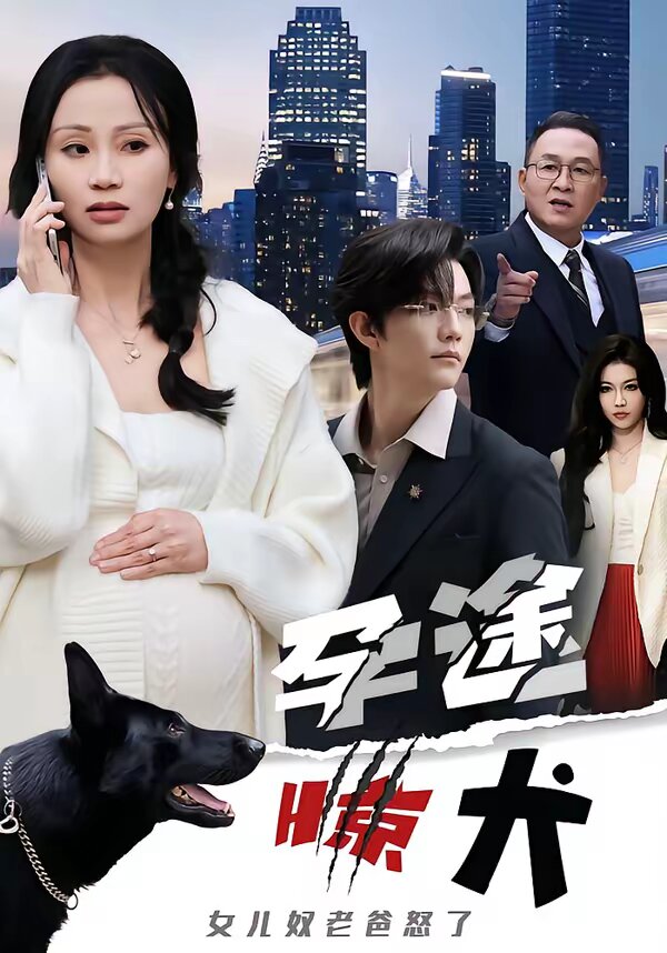 孕途惊犬，女儿奴老爸怒了海报