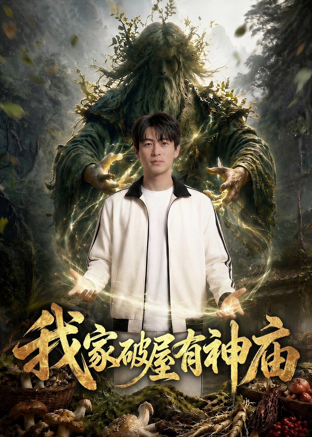 我家破屋有神庙海报