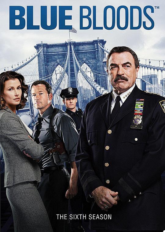警察世家 第六季海报