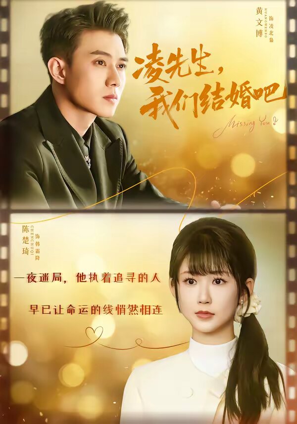 凌先生，我们结婚吧海报