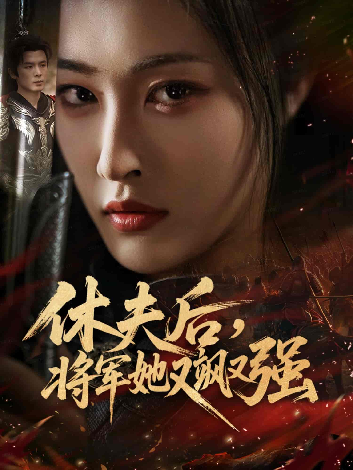 休夫后，将军她又飒又强海报