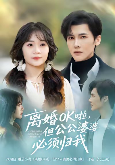 离婚OK啦，但公公婆婆必须归我海报