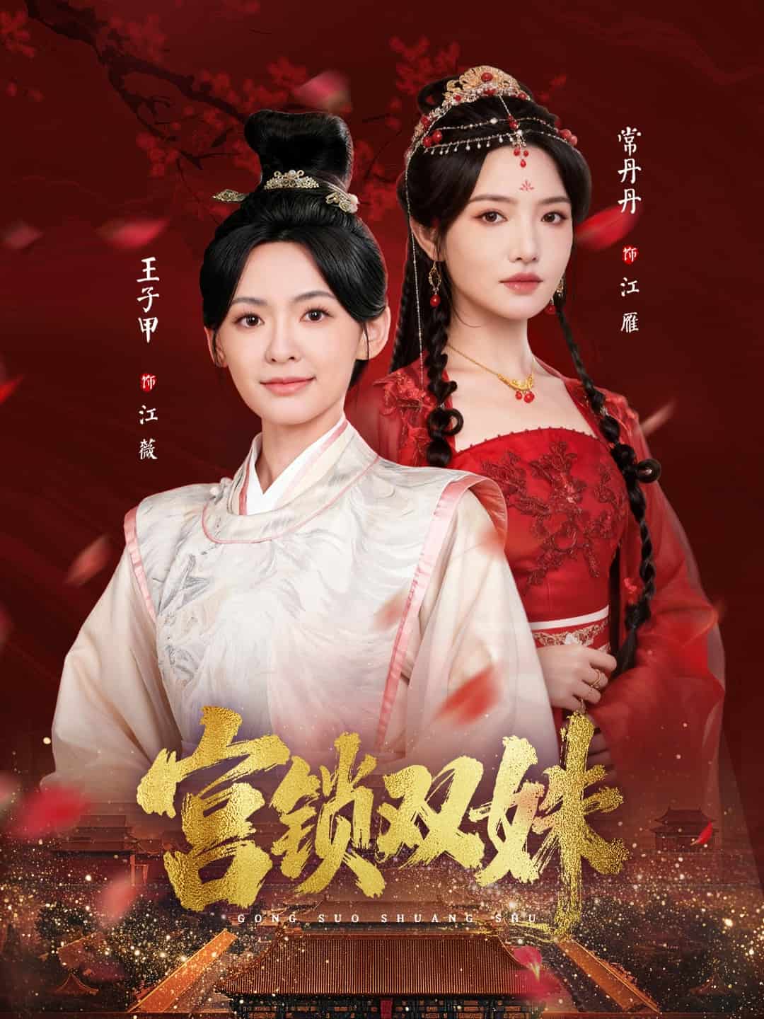 宫锁双姝海报