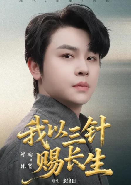 我以三针赐长生海报