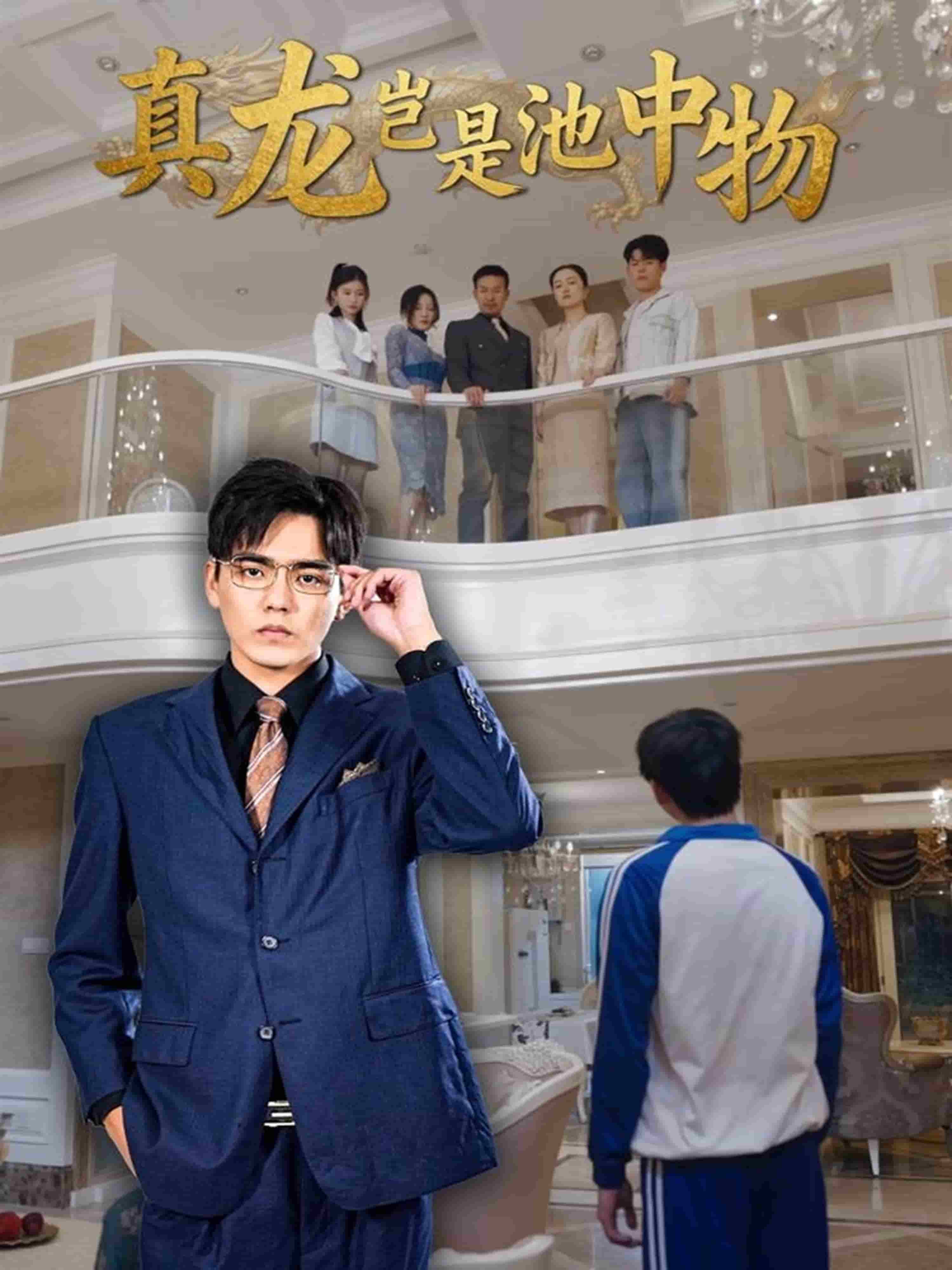 真龙岂是池中物海报