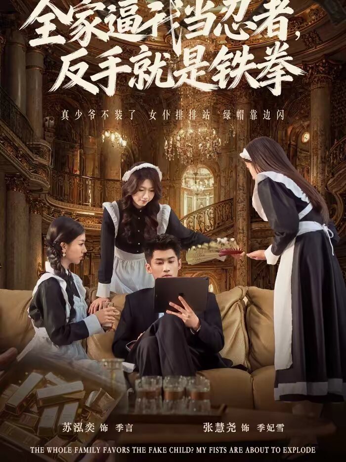 全家逼我当忍者反手就是铁拳海报