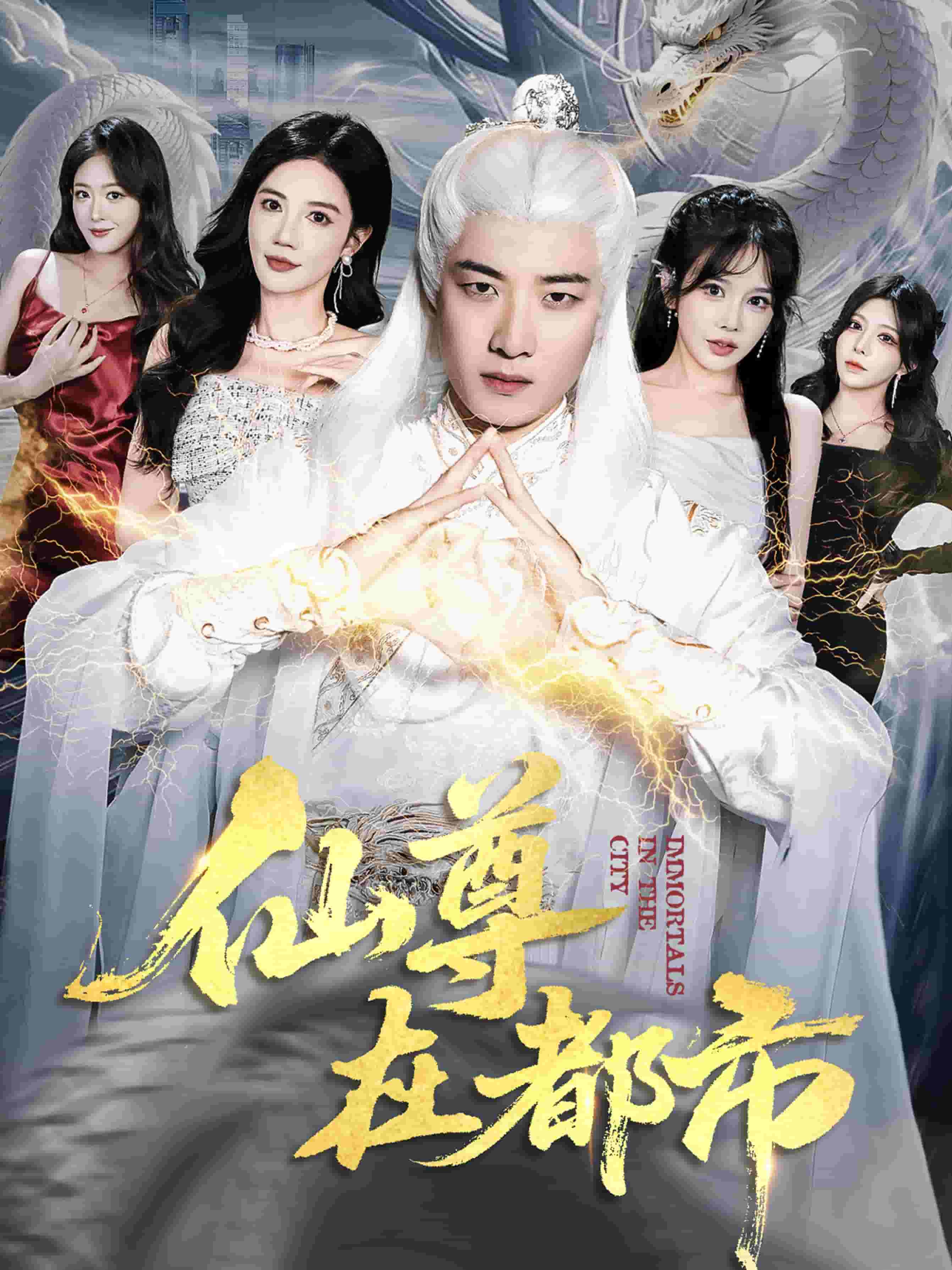 仙尊在都市海报