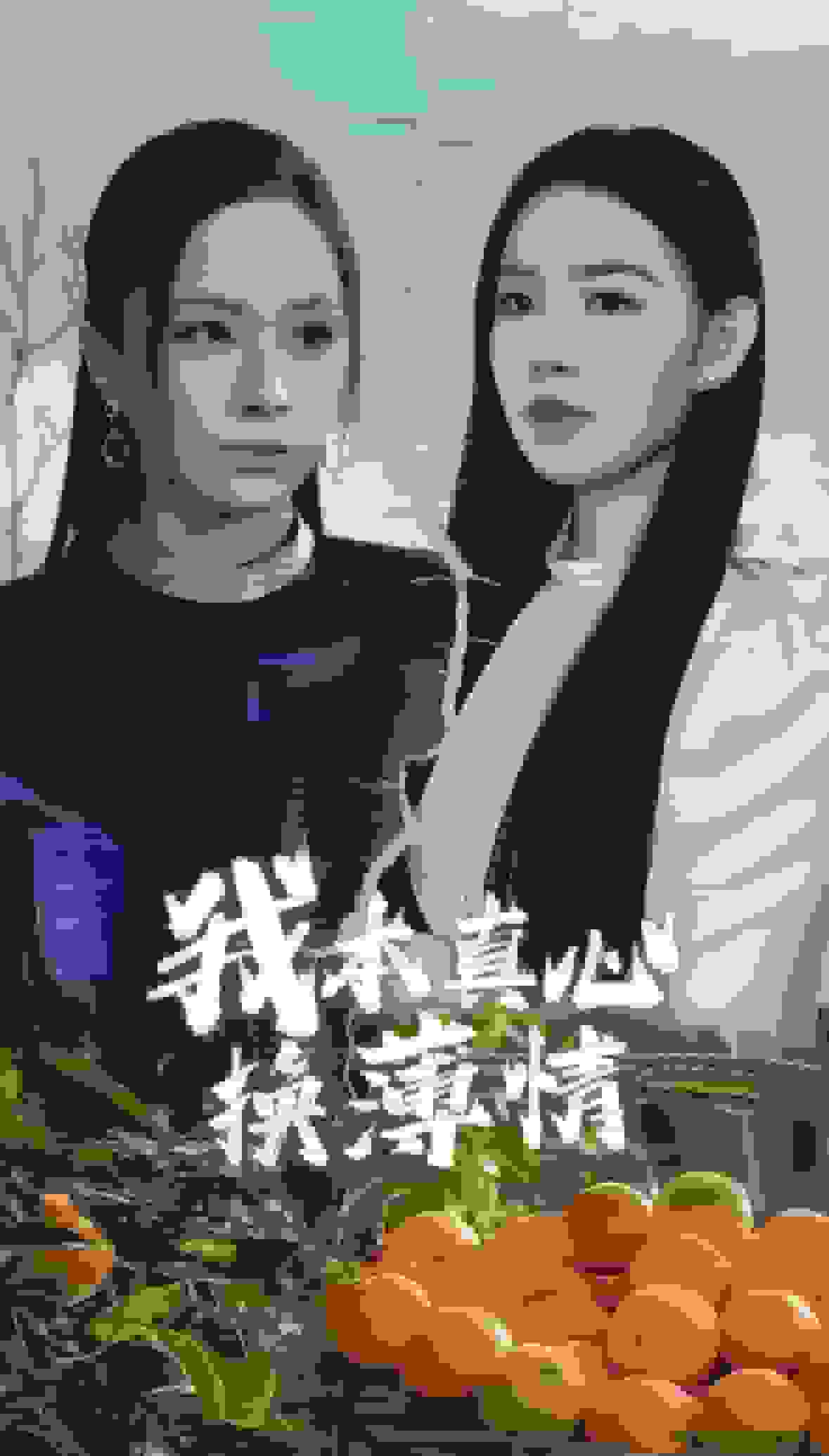 我本真心换薄情海报