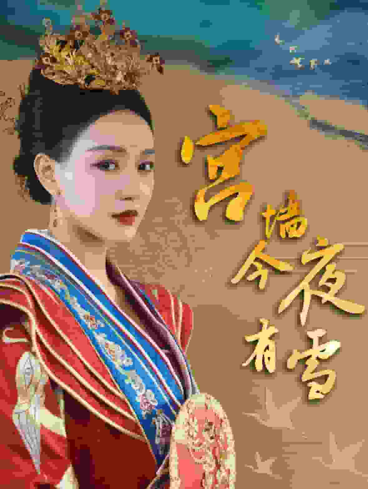 宫墙今夜有雪海报