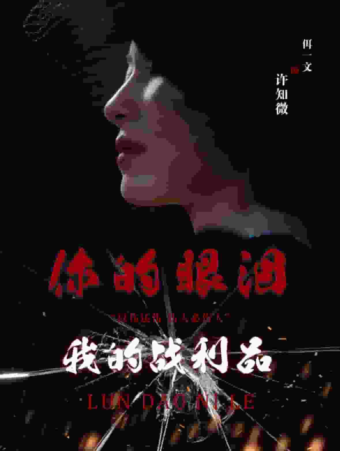 你的眼泪我的战利品海报