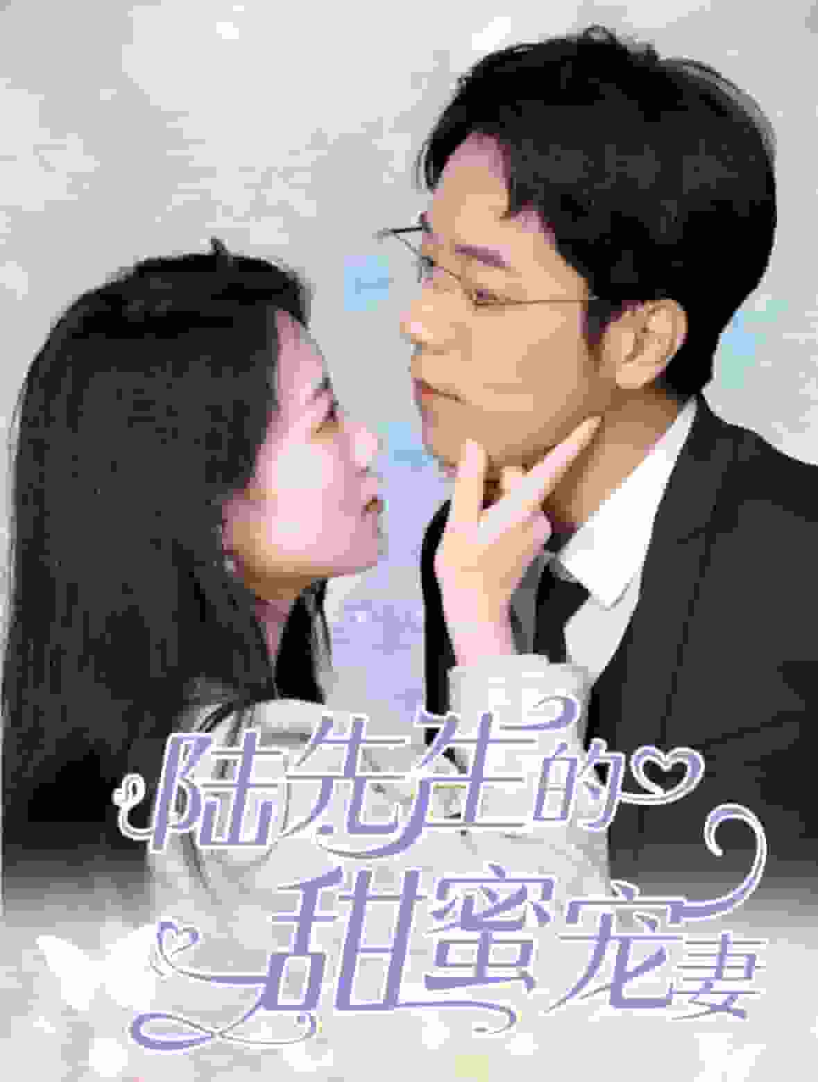陆先生的甜蜜宠妻海报