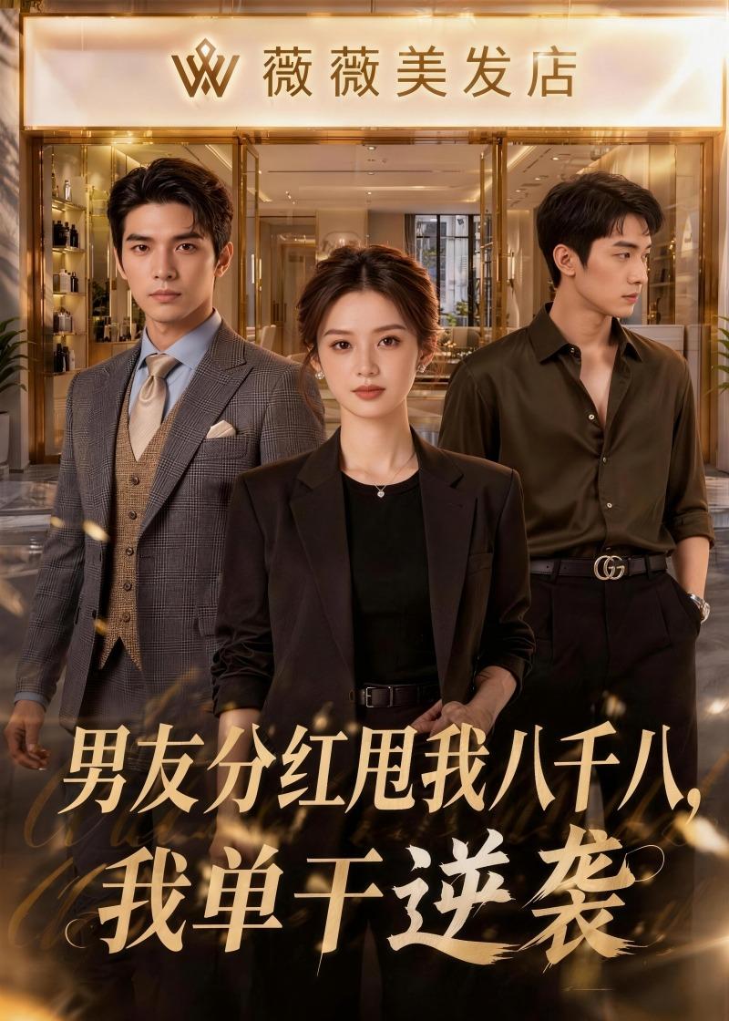 男友分红甩我八千八，我单干逆袭海报