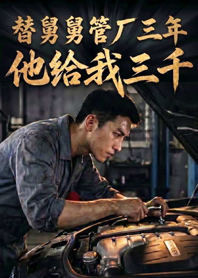 替舅舅管厂三年他给我三千海报
