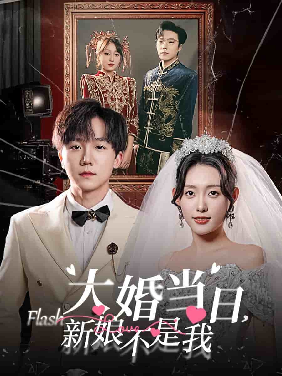 大婚当日新娘不是我海报