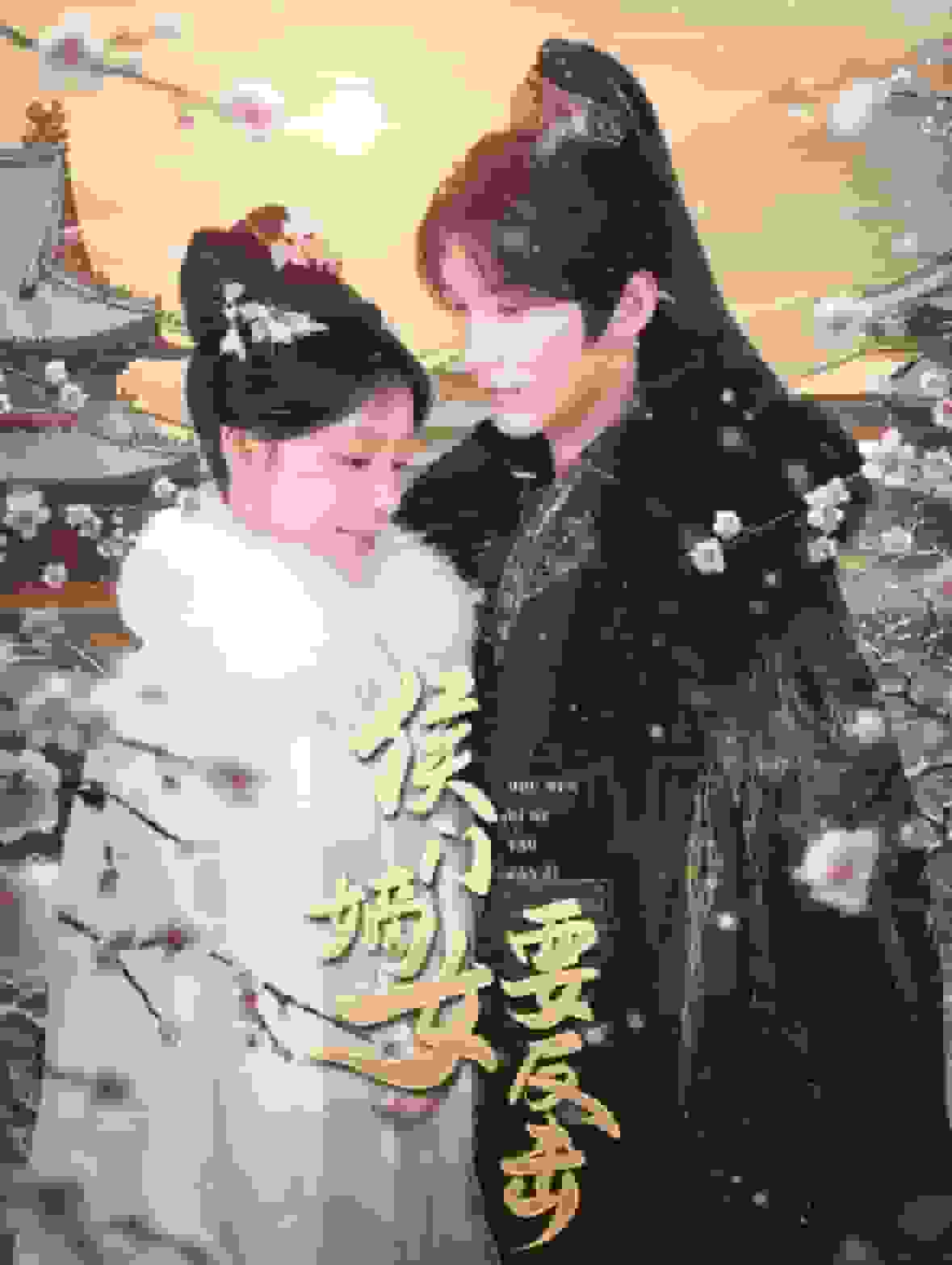 侯门嫡女要反击海报