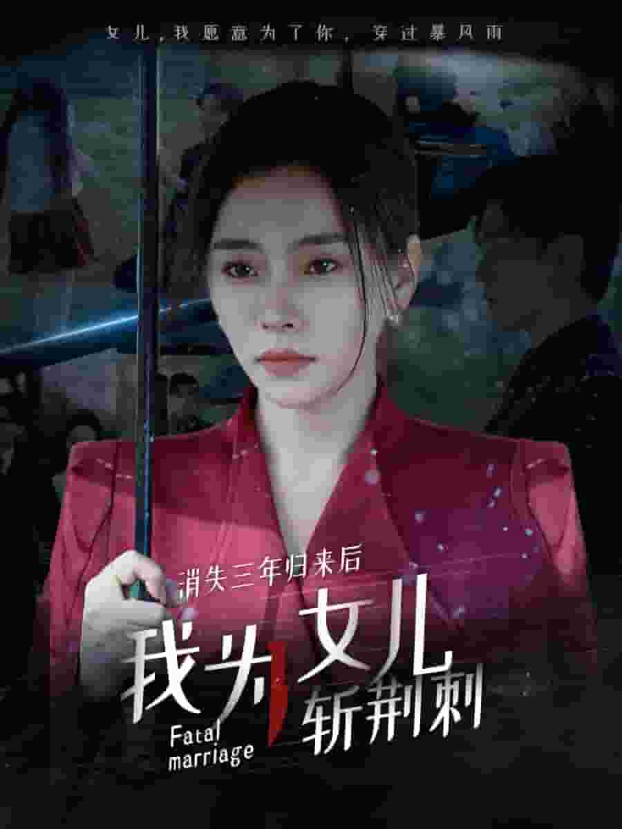 消失三年归来后我为女儿斩荆刺海报