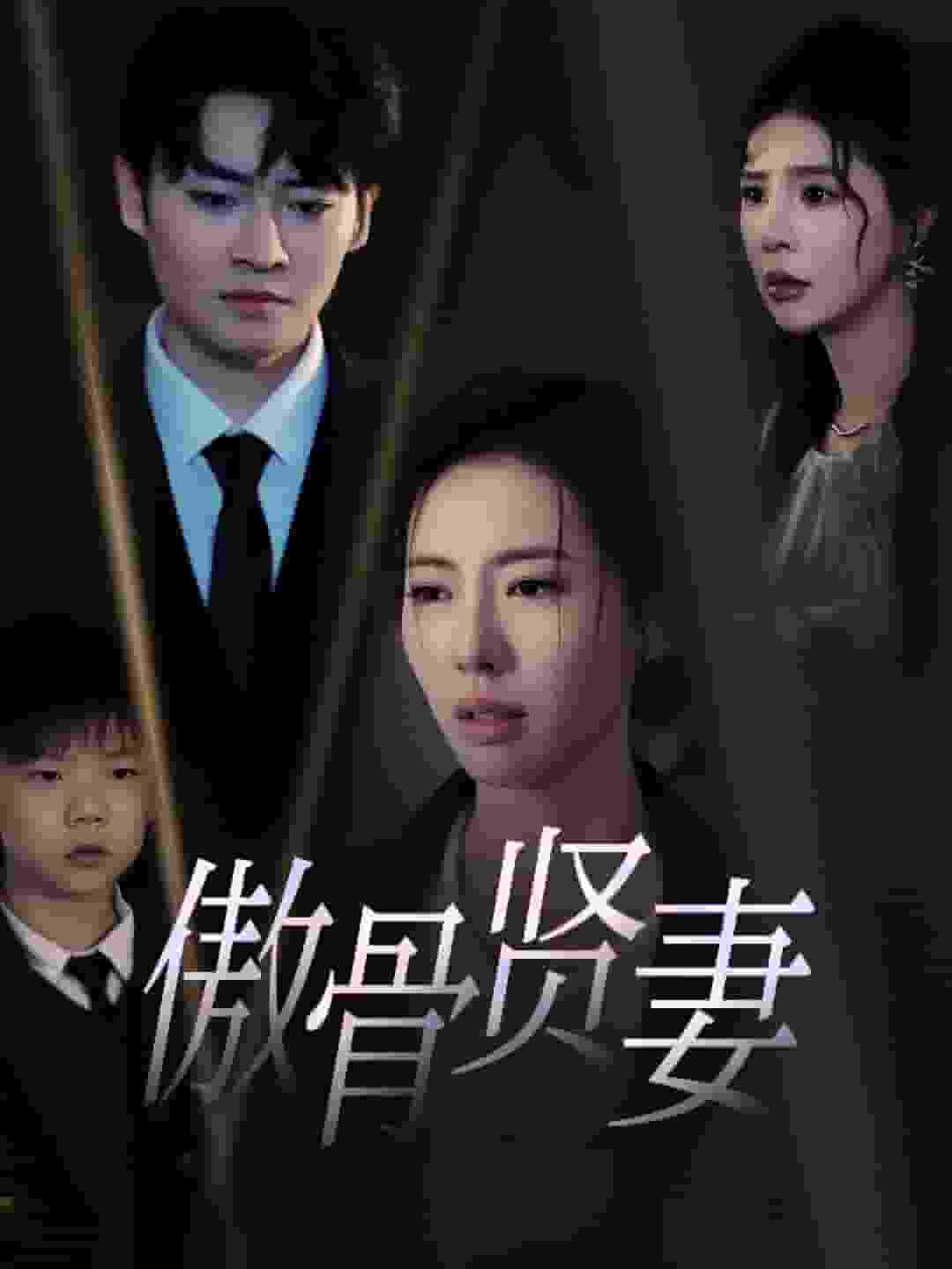 傲骨贤妻海报