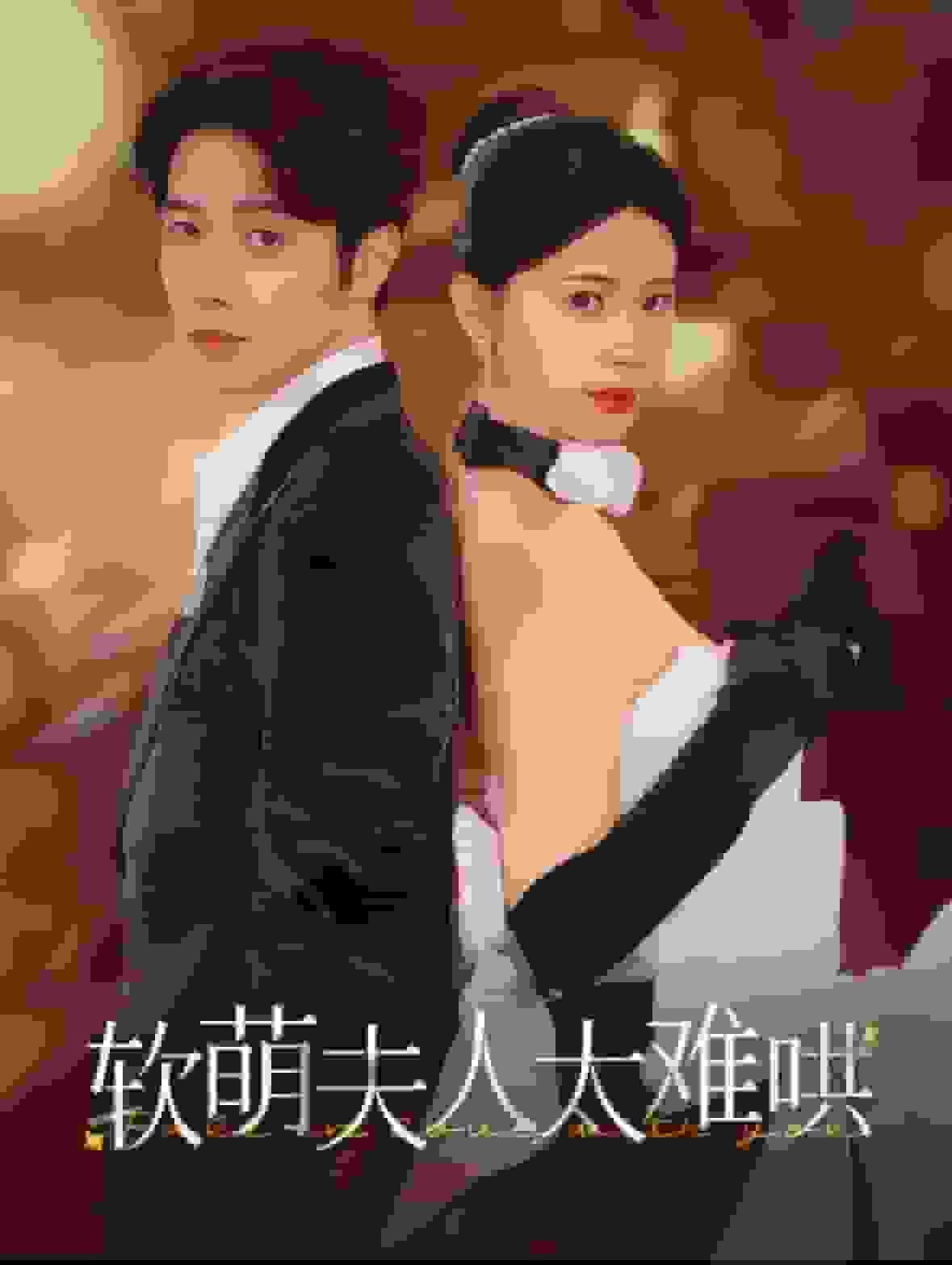 软萌夫人太难哄海报