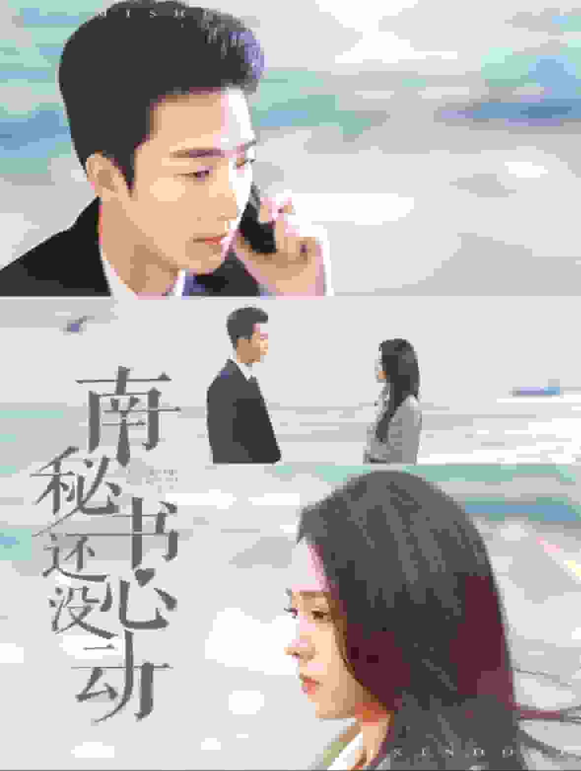 南秘书还没心动海报