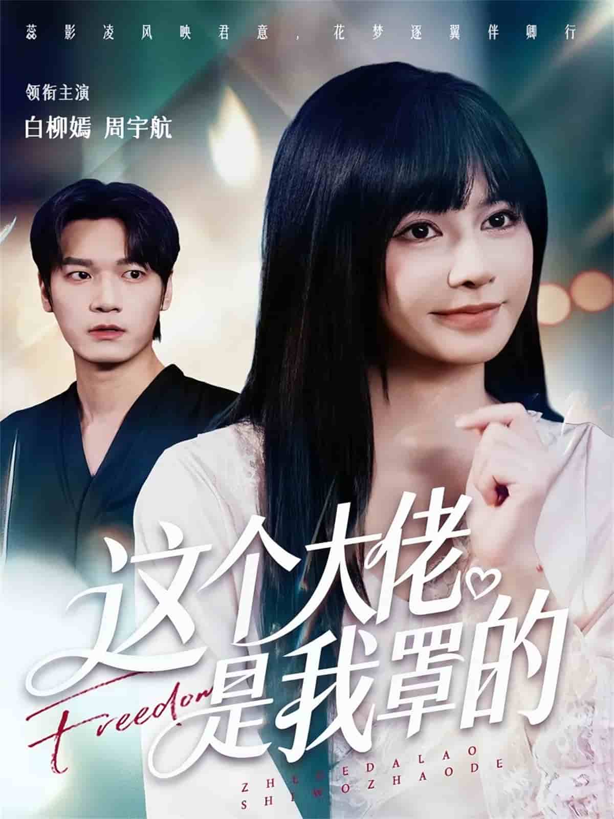 这个大佬是我罩的海报