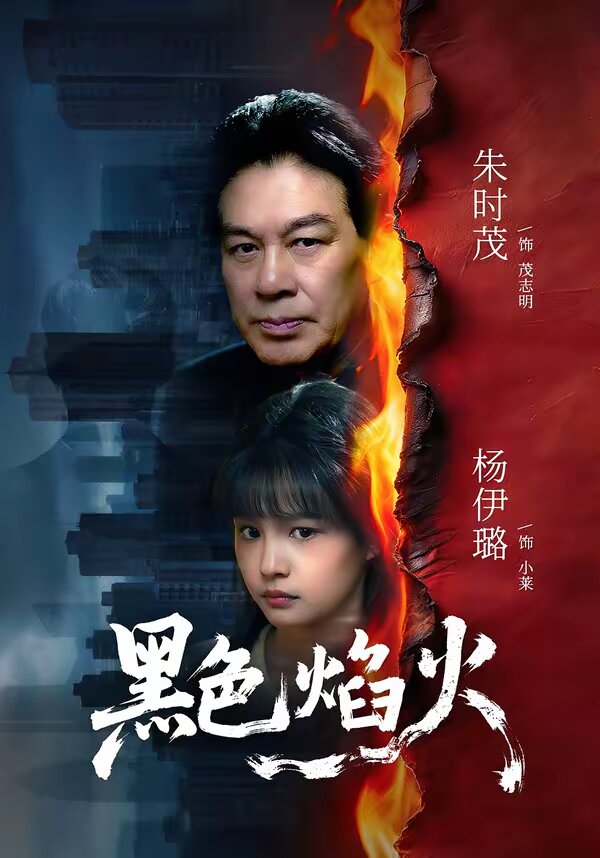 黑色焰火海报