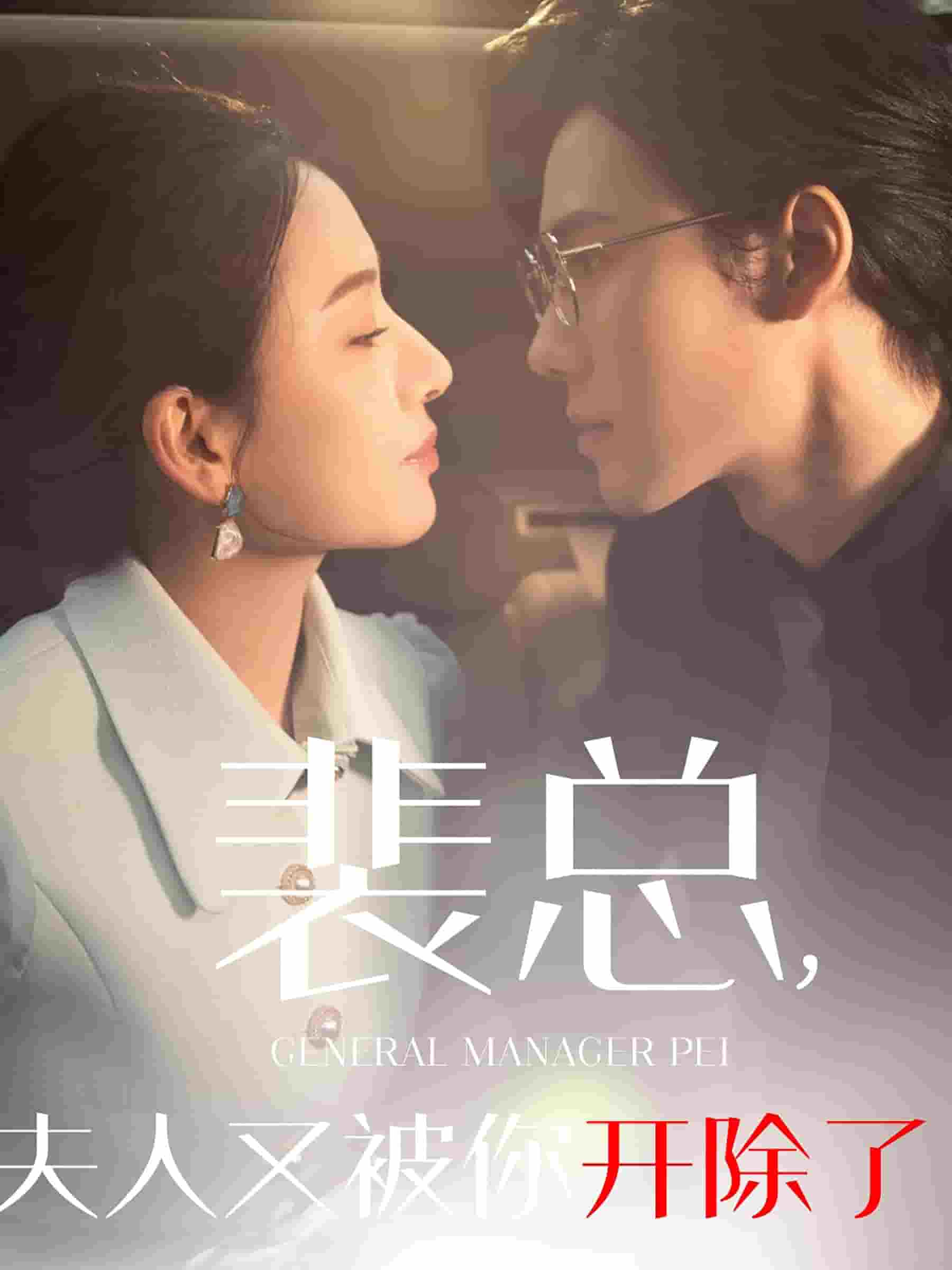 裴总夫人又被你开除了海报