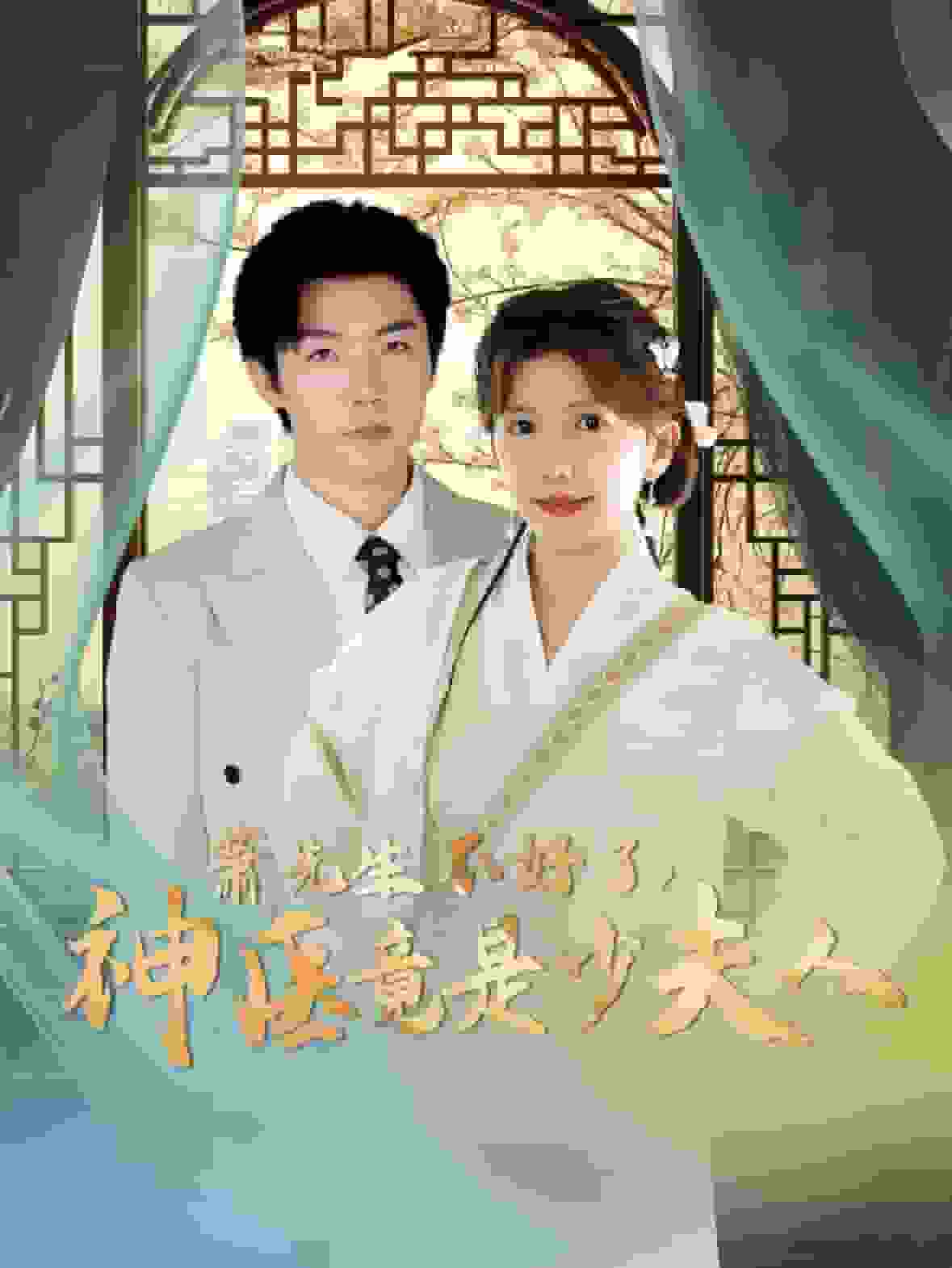 萧先生不好了神医竟是少夫人海报