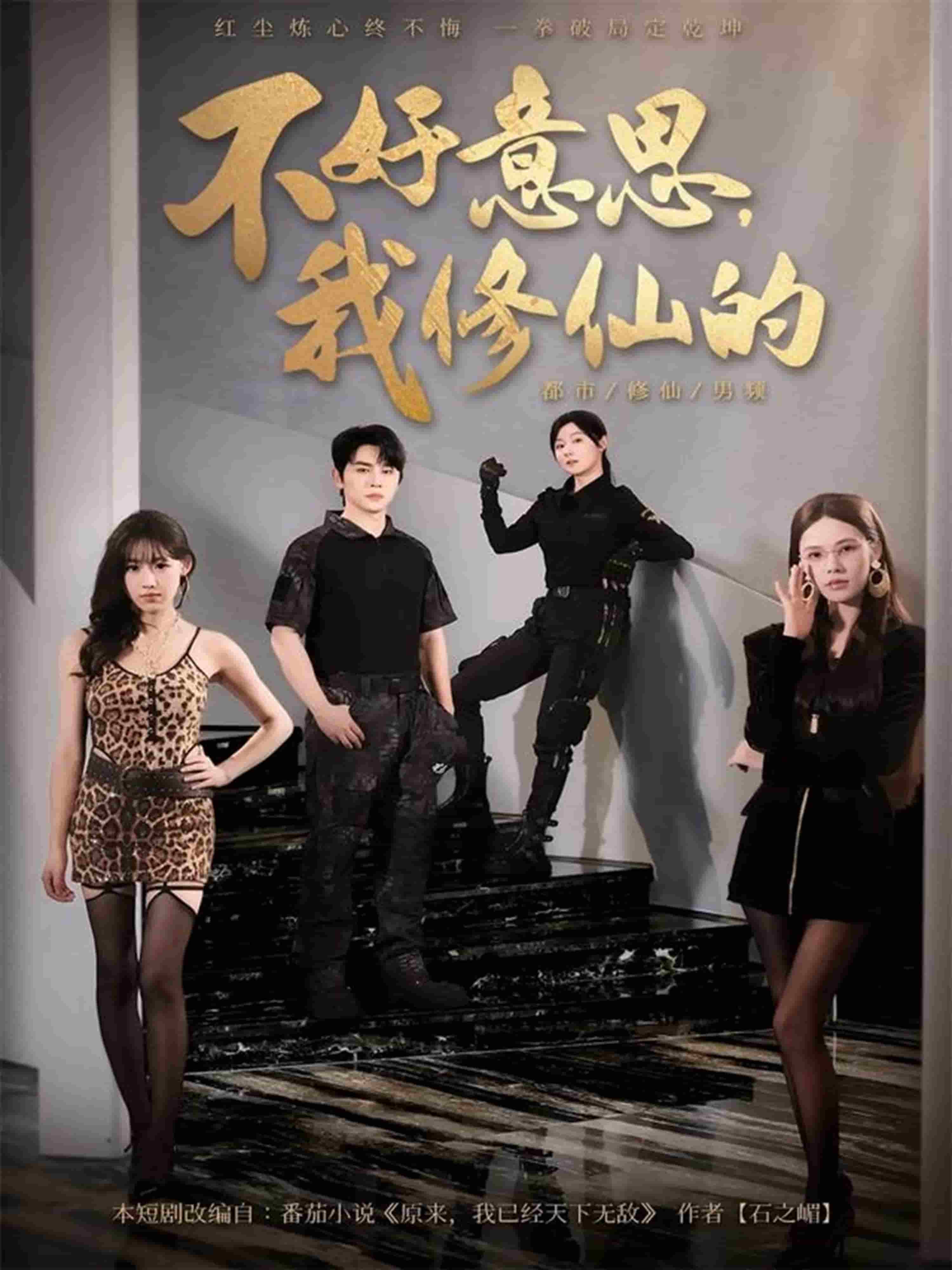 不好意思我修仙的海报