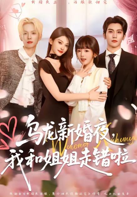 乌龙新婚夜，我和姐姐走错啦海报